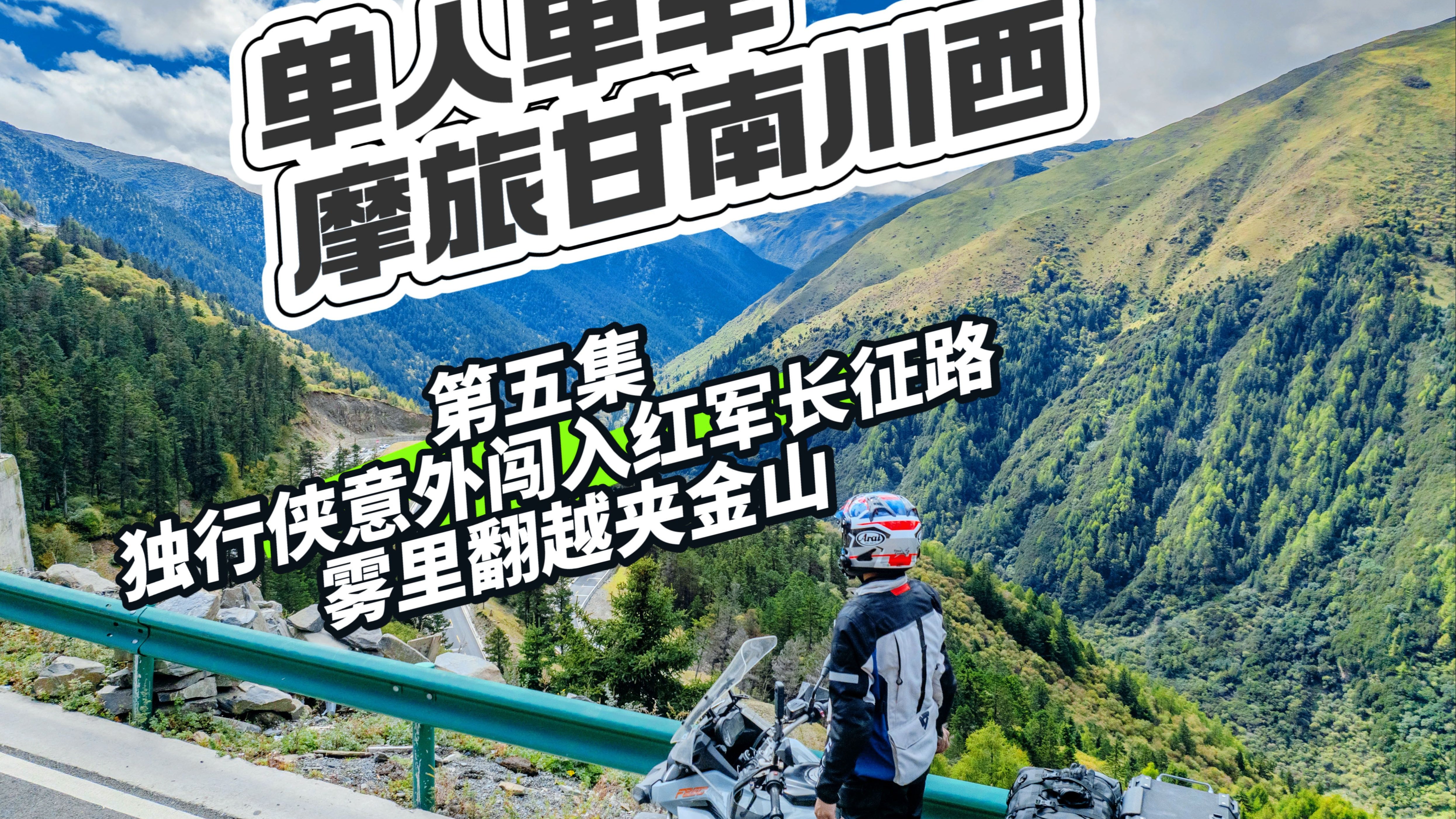 刷新纪录引爆全场！，Scout意外战胜独行侠全场沸腾不已的简单介绍